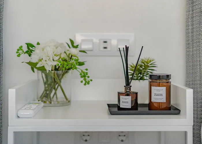 Estandar 1 - Casangular By Upper